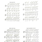 12-Hole Plastic Ocarina, Alto C, A4-F6 Range (Zelda Blue)