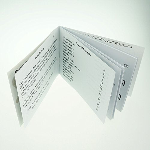 "Mountain Echo" 12 Hole Alto C Ocarina,Stawfired Burning, Unique Design and Well Tuned, Comfortable to Hold and Play (Stawfired)